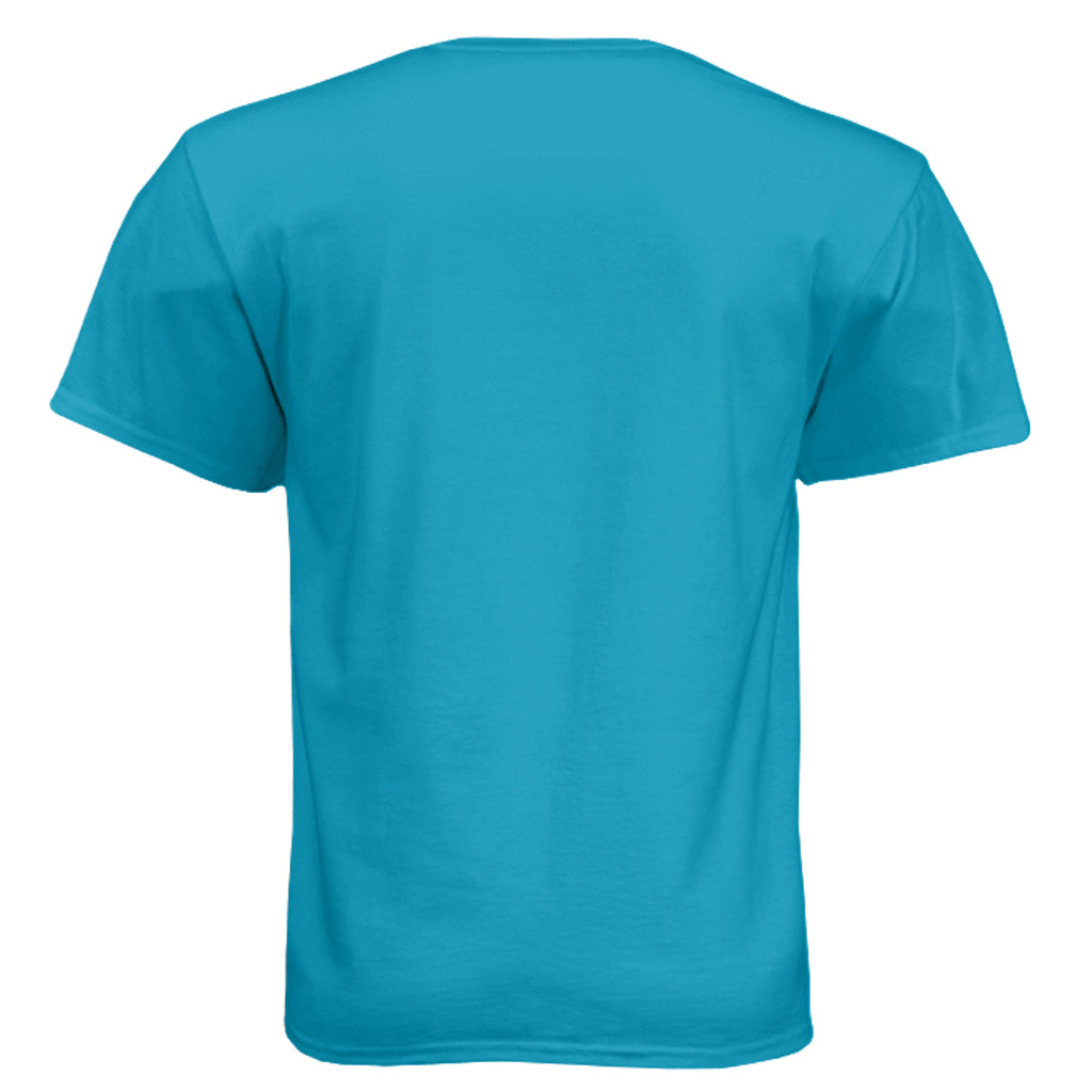 CALIFORNIA BLUE - 21M - BACK